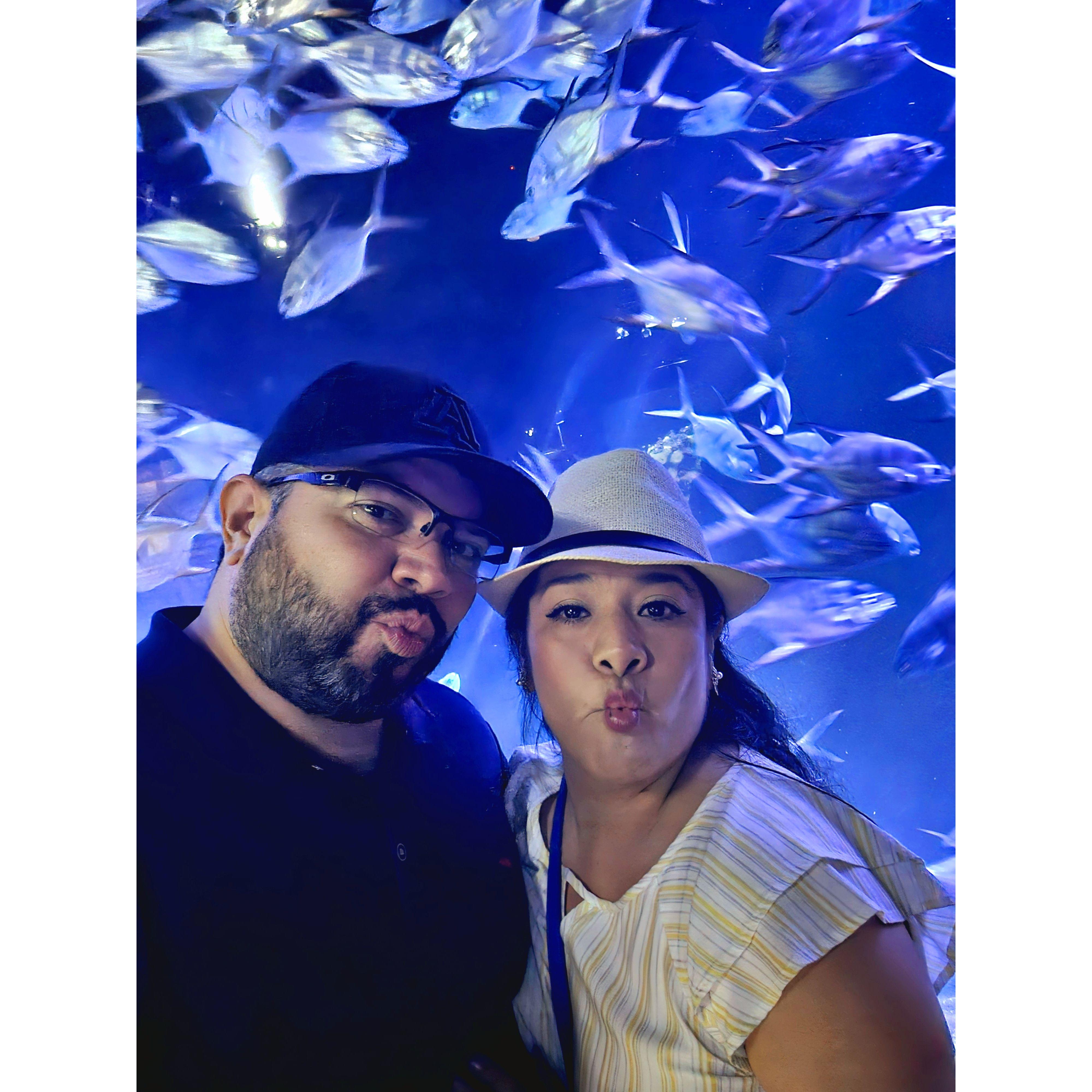 Deep Sea Adventure