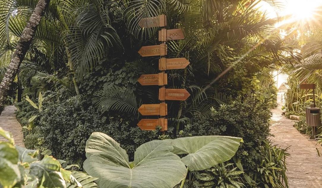 The Wedding Website of Jessica Suarez and Mohammed Boufelfel