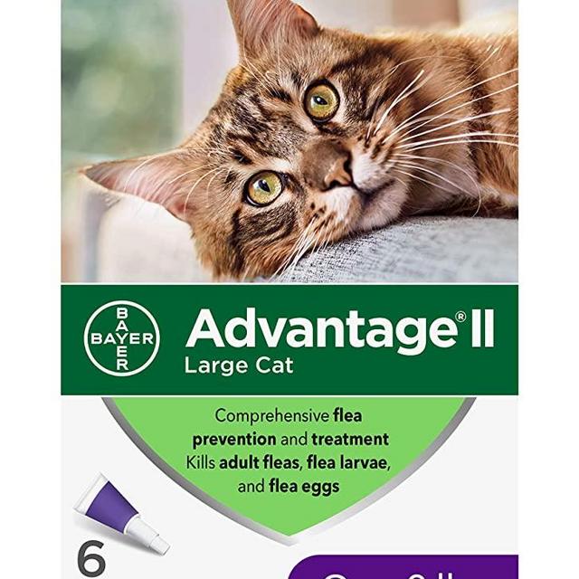 Advantage II Flea Prevention and Treatment for Large Cats, Over 9 Pounds
