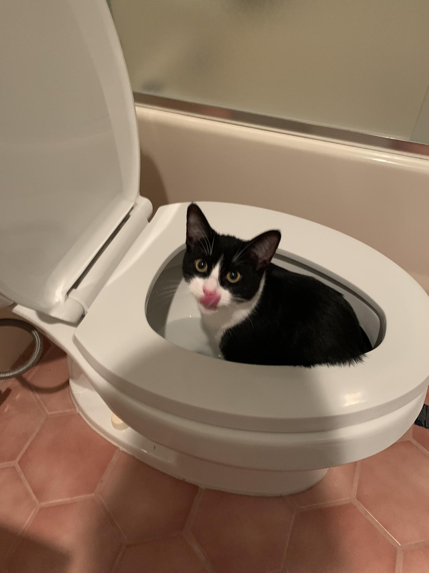Maude getting a forbidden drink