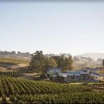 JUSTIN Vineyards & Winery