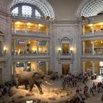 Smithsonian Museums