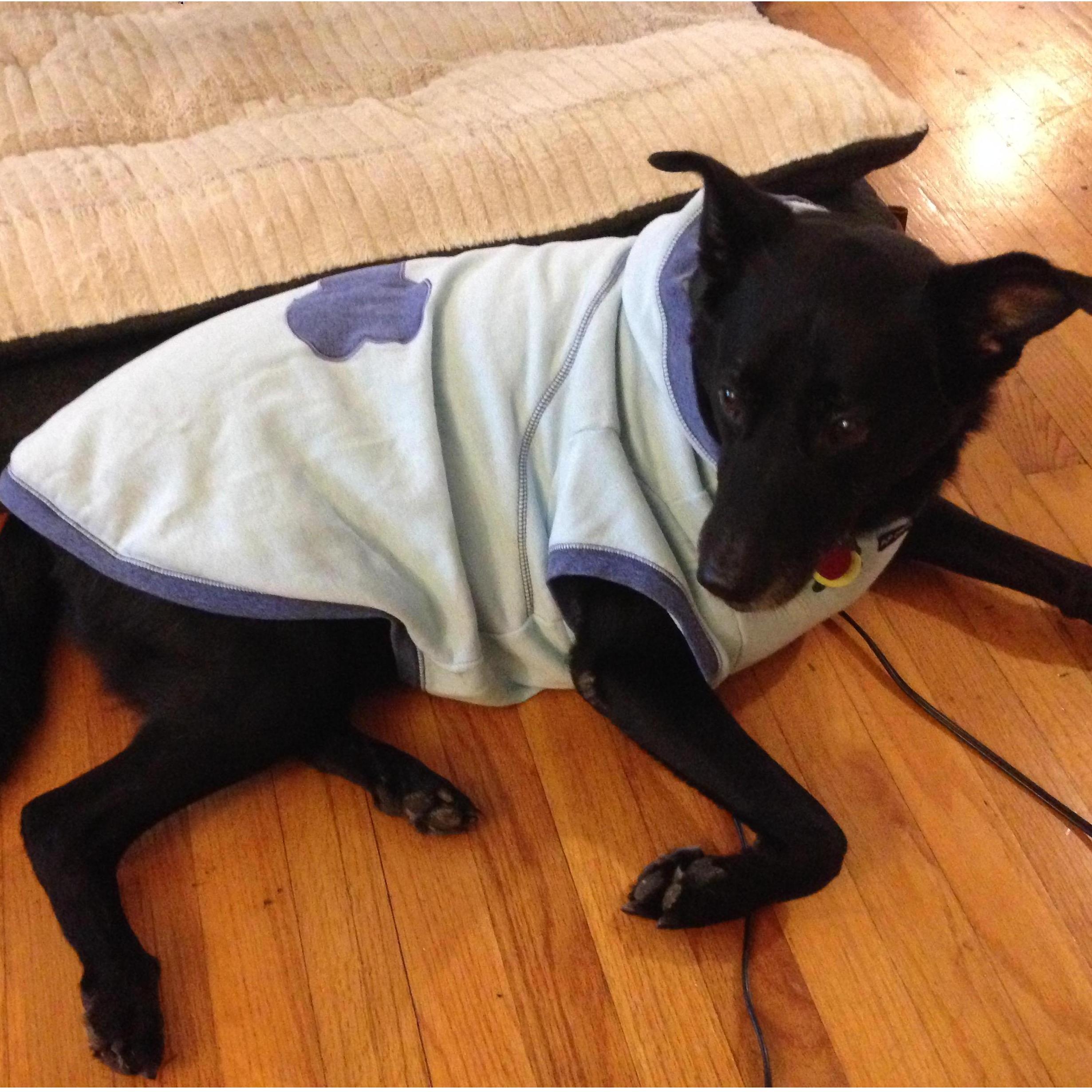 Sweet Bella in her winter pajamas