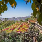 Madeira Botanical Garden