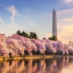 Tidal Basin