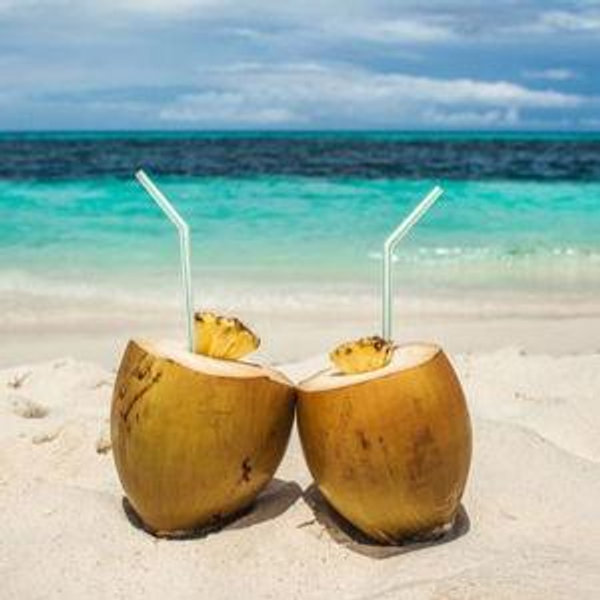 Honeymoon Drinks on the Beach