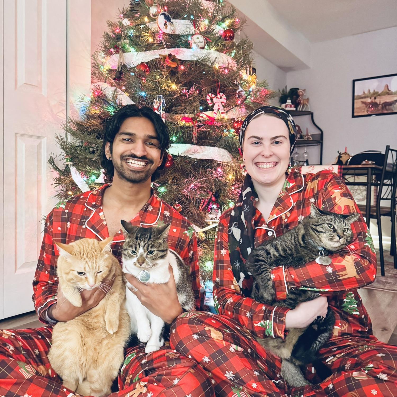 In 2024 we managed to get a holiday picture including all the cats