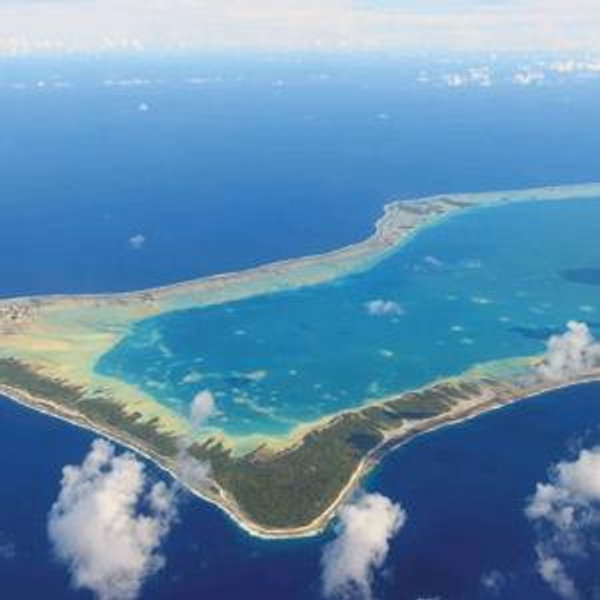 Honeymoon: Moorea Excursion