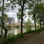 North Shore Riverfront Park