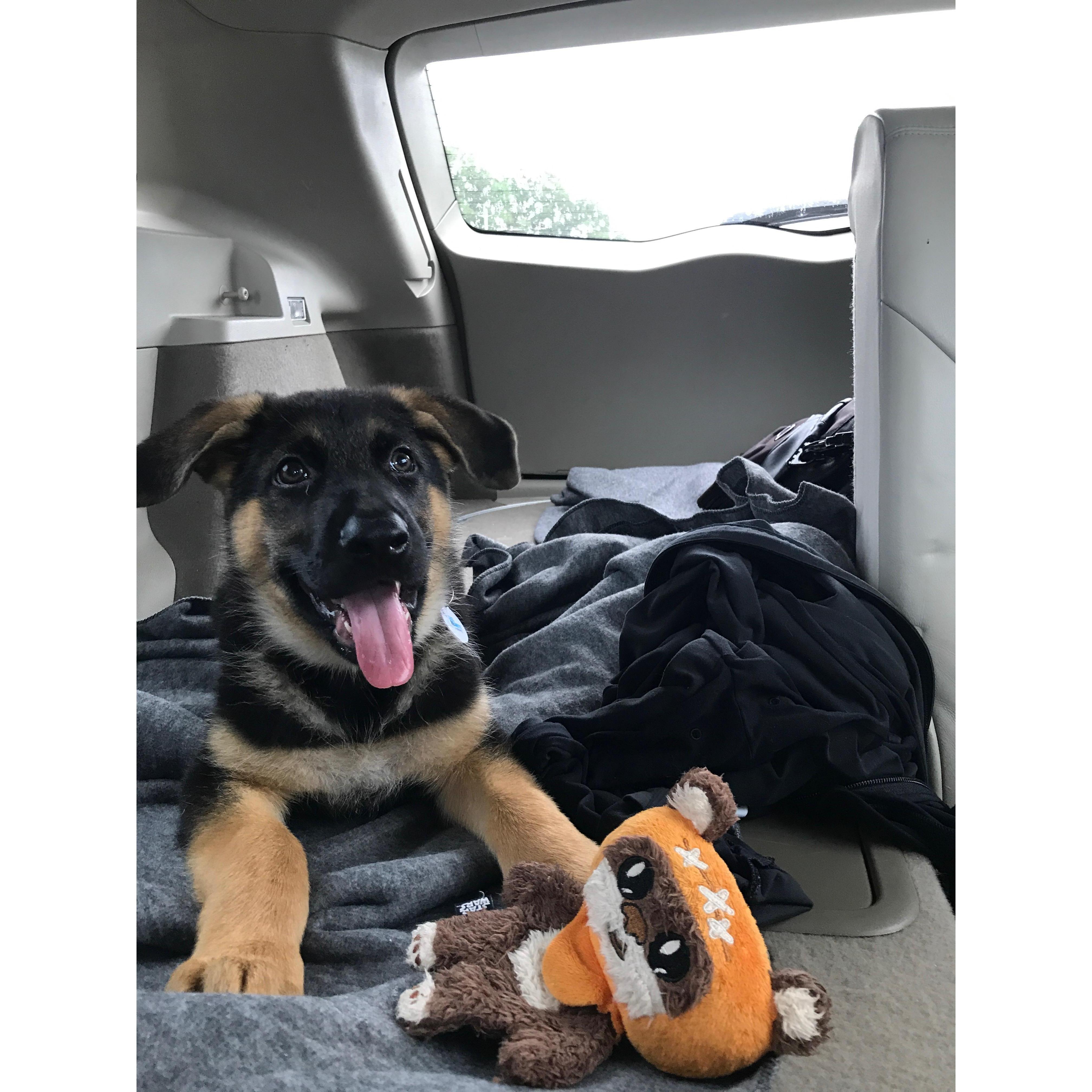 Kai LOVES to ride on the car wherever we go. Love you Kai!!
