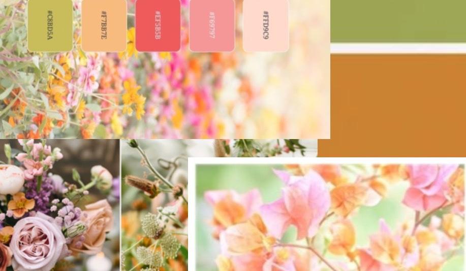 The Wedding Website of Alexis Tenhoeve and Joshua Campbell