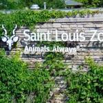 Zoo