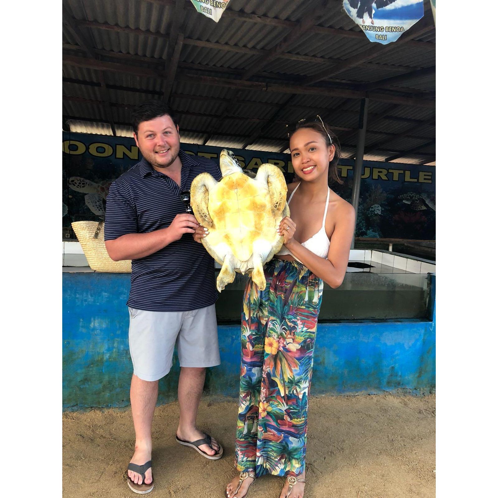 Turtle Island Bali