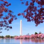 National Mall