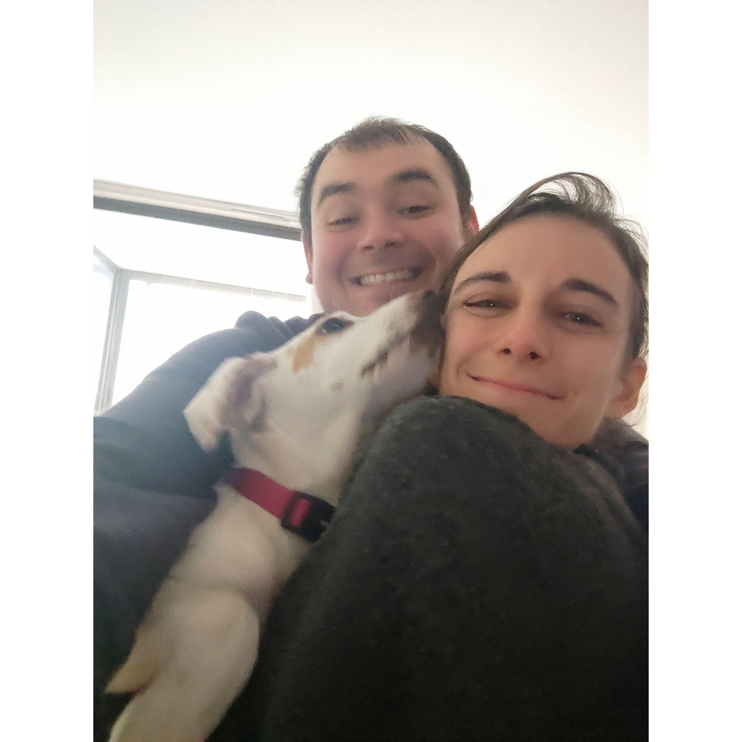 Love at first sight