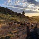 Horseback Riding at Eatons' Ranch