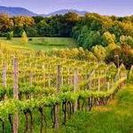 Wineries