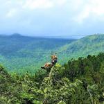 Rainforest Zipline Park