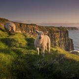 Cliffs of Moher