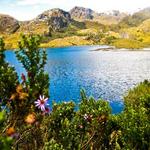 Parque Nacional Cajas