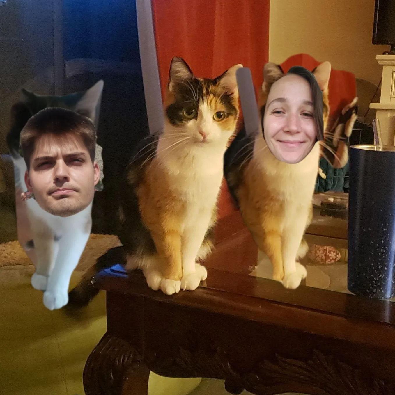 Our first pet and moving back home to Indy!!