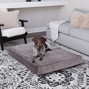 Happy Hounds Daisy Deluxe Supportive Pet Bed, Gray, Large