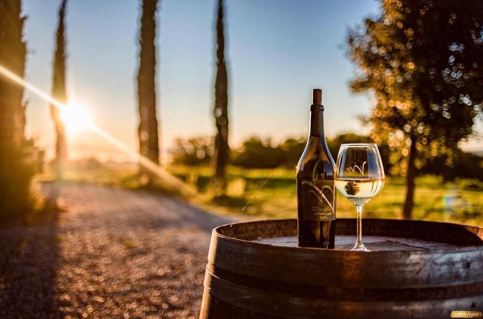 The Wedding Website of Sarah-Lorraine Wolff and Michael Andrew Armstrong