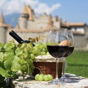 Honeymoon - Wine Tasting in France