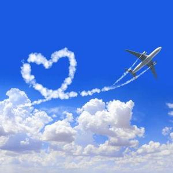 Wedding Celebration & Honeymoon Fund