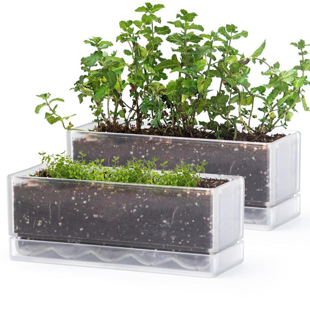 D'vine Dev 12 Inch Window Box Planter, Rectangle Plastic Herb Planter with Drainage Holes and Saucer, Indoor Succulent Cactus Vegetable Pot for Windowsill, Garden Balcony, Clear, Set of 2, 76-X-D-2