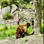 Friends in Ouray