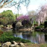 Mizumoto Japanese Stroll Garden