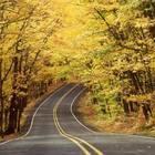 Fall Colors