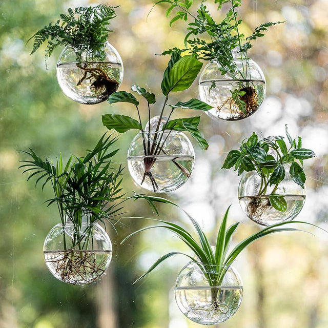 Window Propagation Stations, Oblate Glass Terrariums Planter with Suction Cup Hook, Wall Hanging Planters for Hydroponics Plants, Home, Office, Bathroom, Living Room Decor, Gift for Plant Lovers (6)