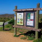 Abbotts Lagoon Trailhead