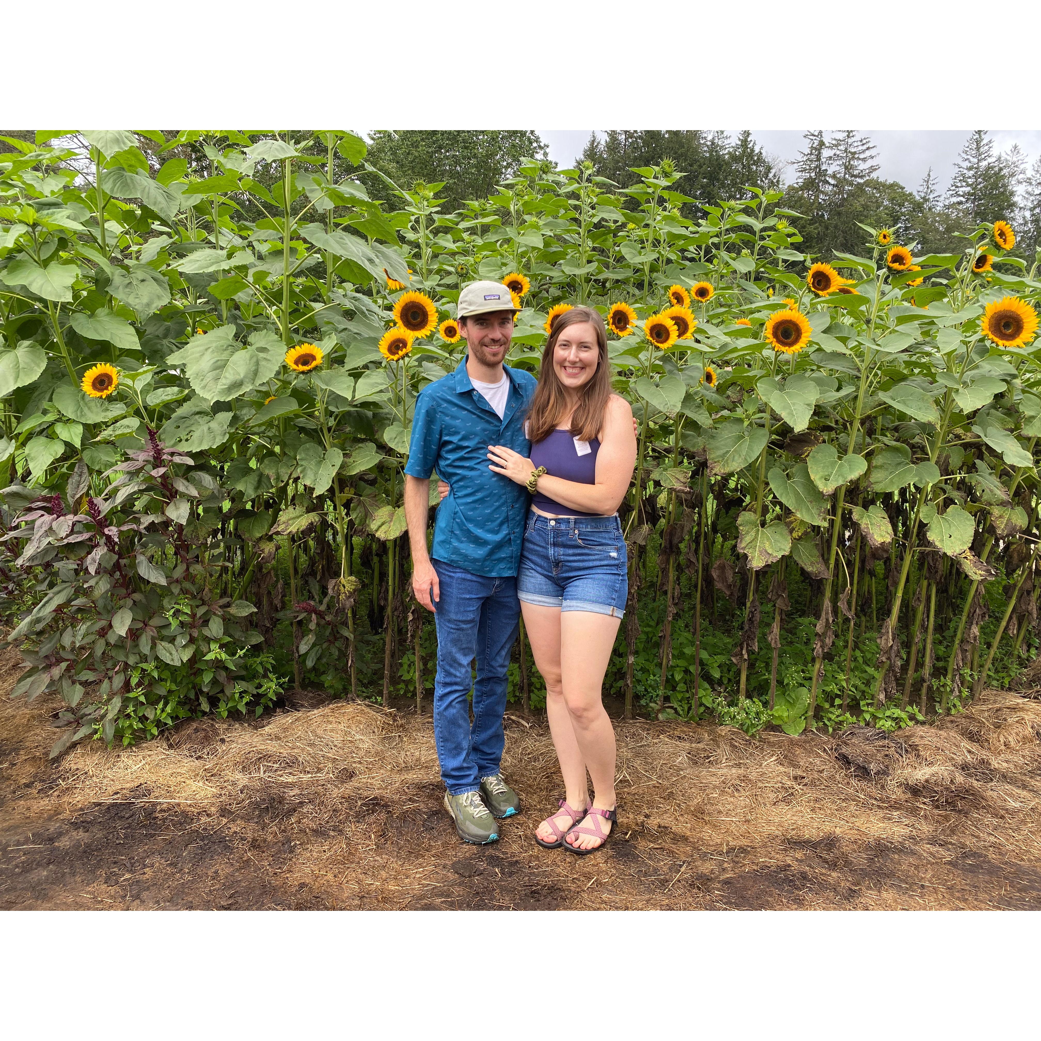 Visiting the Sunflower House in 2023