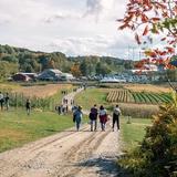 Cider Hill Farm