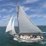 Habor Sailing