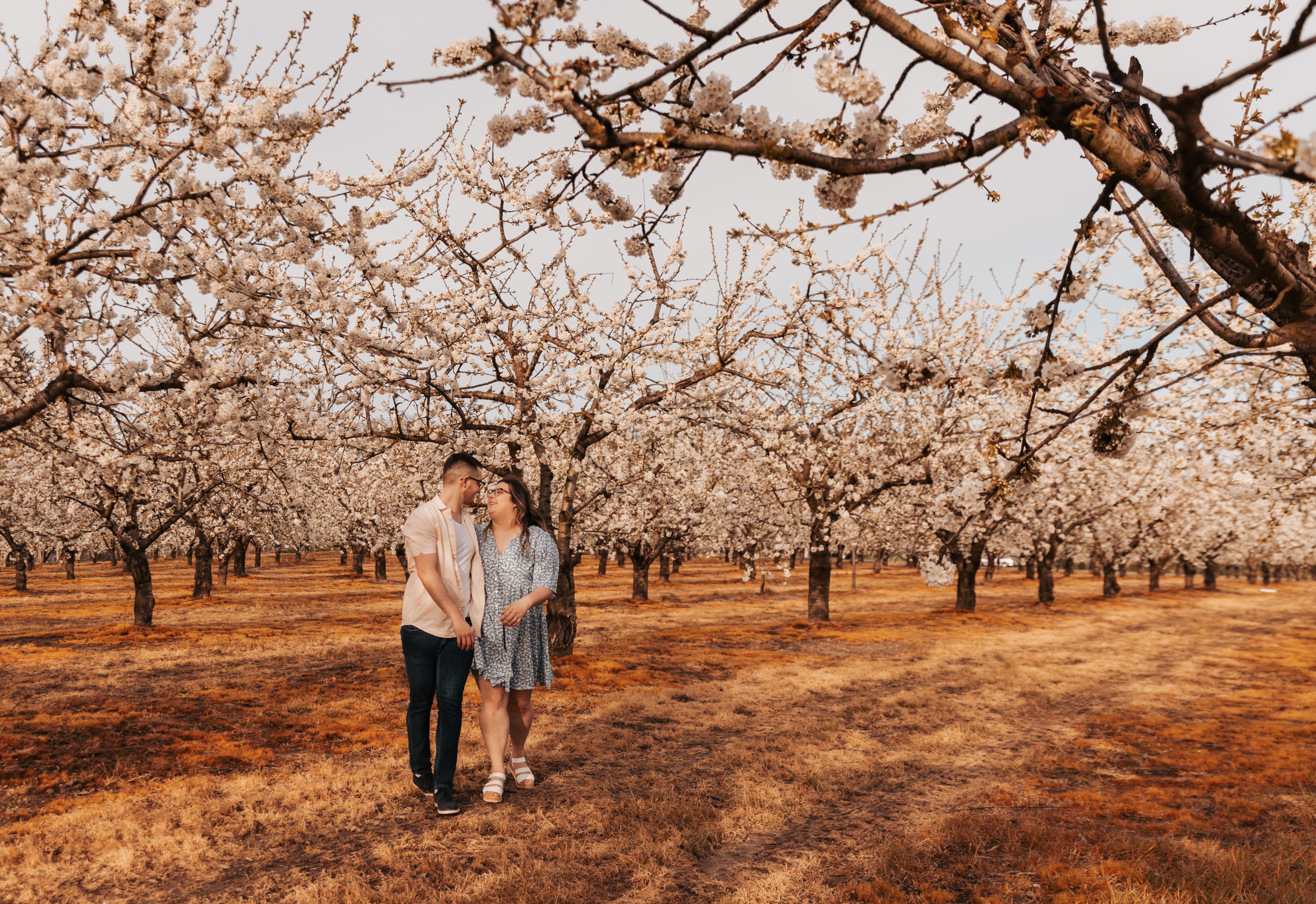 The Wedding Website of Sarah Heuberger and David Haren
