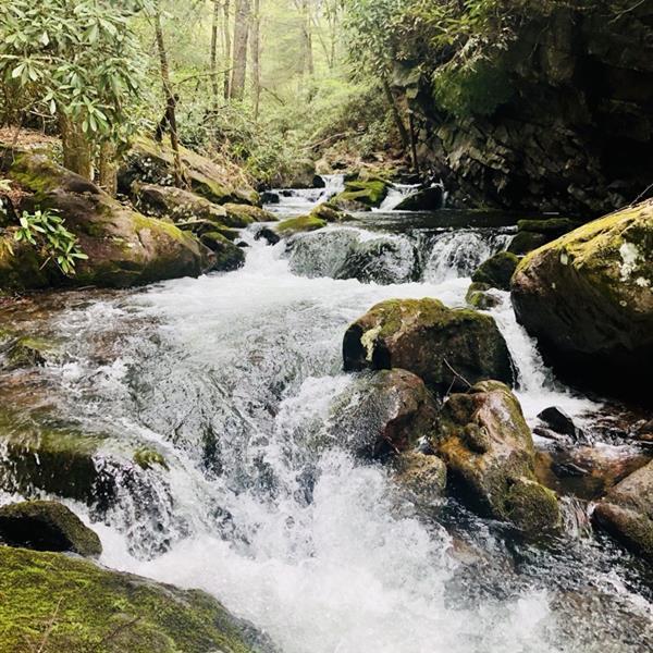 We love a good nature walk and hike.