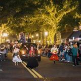 Lighted Christmas Parade