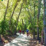 Bob Jones City to the Sea Bike Trail Park & Ride
