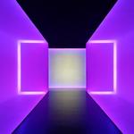 The Museum of Fine Arts, Houston