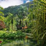 Waimea Valley