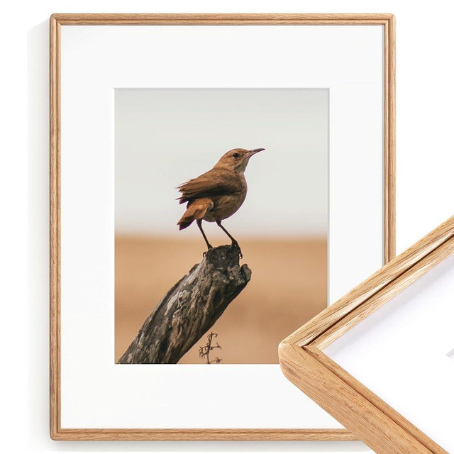 16X20 Picture Frame, Natural USA-Sourced Solid Oak Wood Photo Frame with High Tempered Glass, Handcrafted Rounded Corner 16 by 20 Wooden Frame Matted to 11x14 Photo for Horizontal or Vertical Wall Mounting