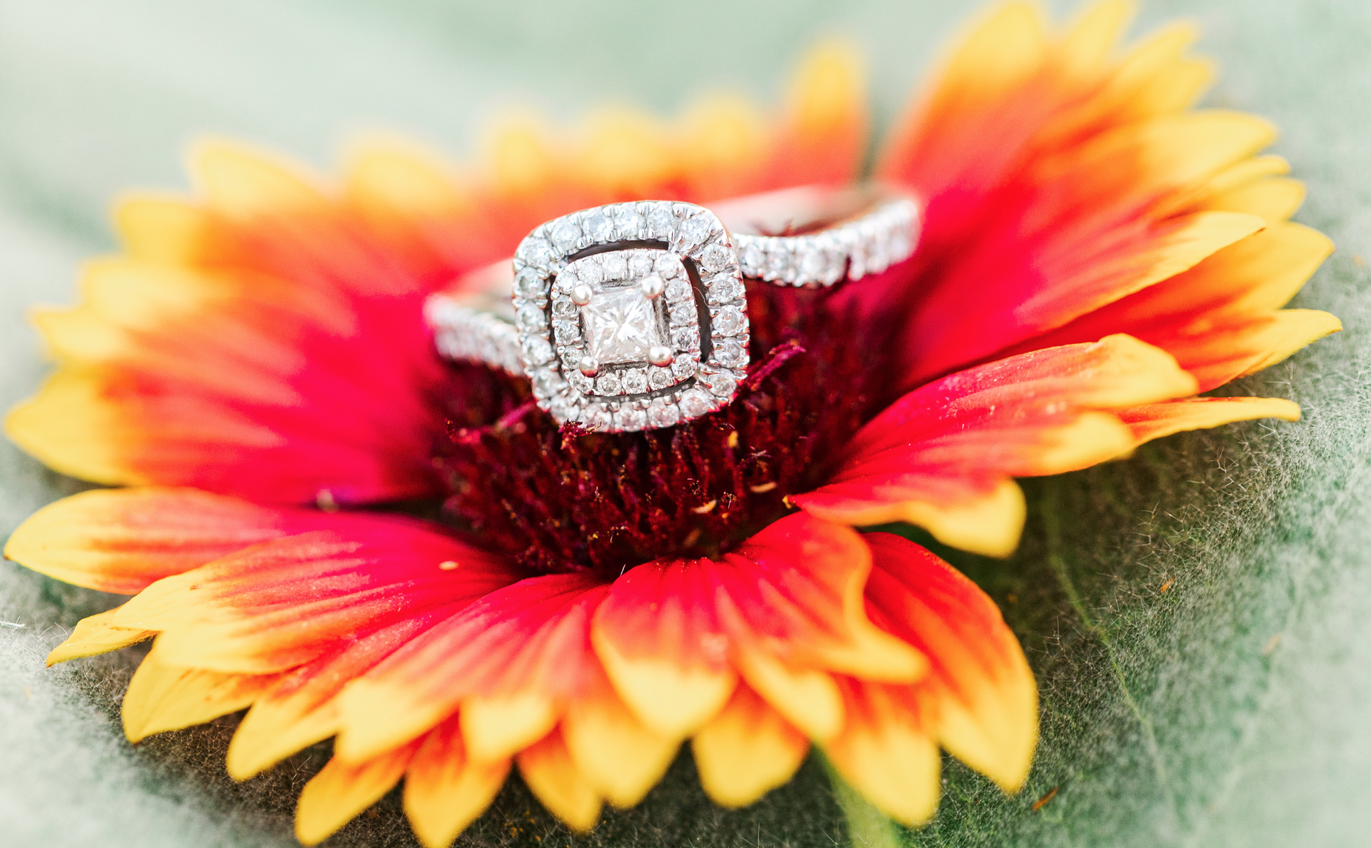 The Wedding Website of Kara Singleton and Garret Jenkins