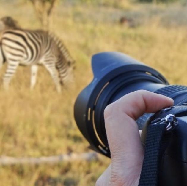Safari Camera Rental