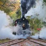 Tennessee Valley Railroad Museum