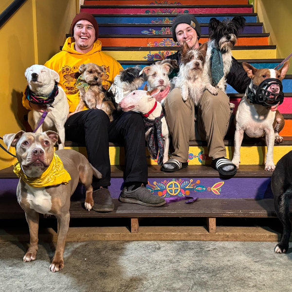 Dog supply fund!