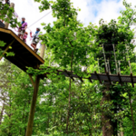 Highlands Aerial Park